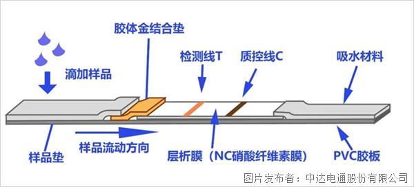 防疫新武器 抗原自測試劑盒來了！(圖6)